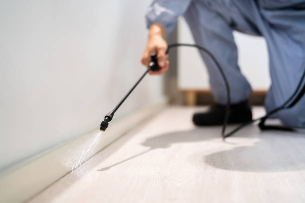 Licensed Cockroach Control service in Luna Pier, MI - Nex Pest Control
