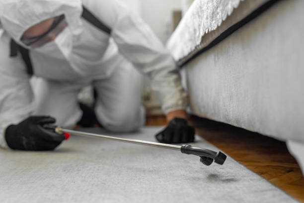 Professional Cockroach Control technician working in Luna Pier, MI