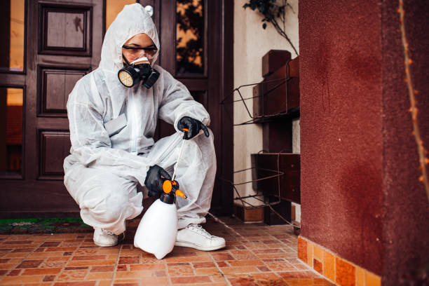 Reliable Cockroach Control contractor in Luna Pier, MI by Nex Pest Control