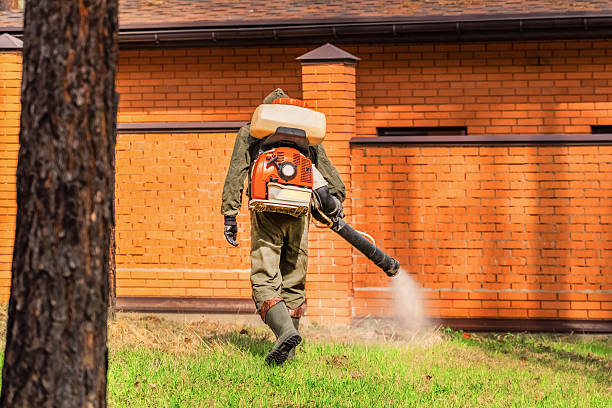 Trusted Emergency Pest Control service in Luna Pier, MI - Nex Pest Control